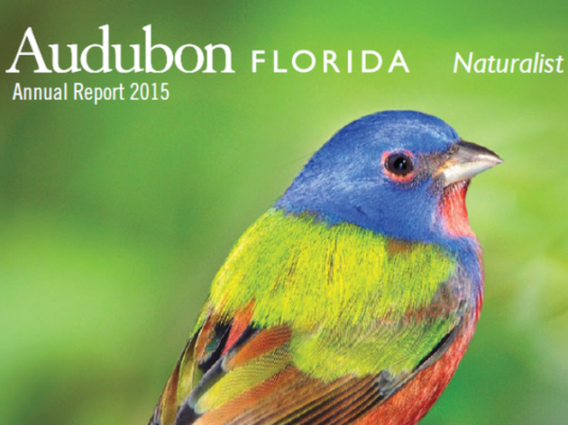 Audubon Florida Naturalist Magazine Winter 2015 Annual Report