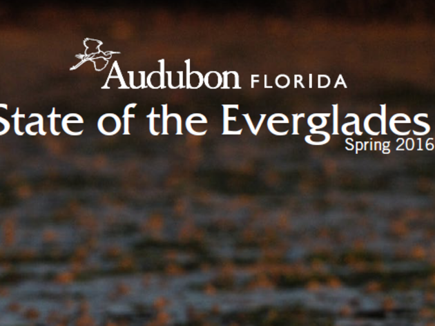 Now Available: Audubon's State of the Everglades Report - Spring 2016