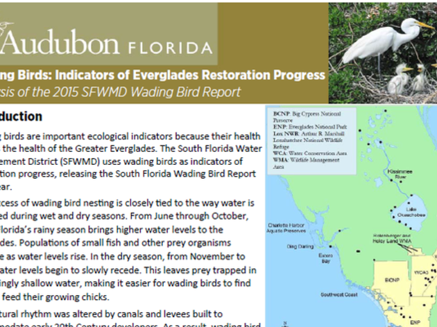 New SFWMD Report Highlights Urgent Need for Everglades Funding 