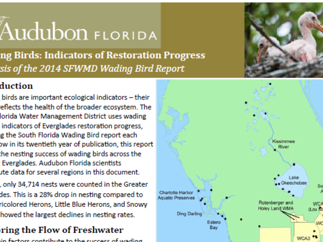 Audubon Scientists: “Everglades Restoration Cannot Wait”