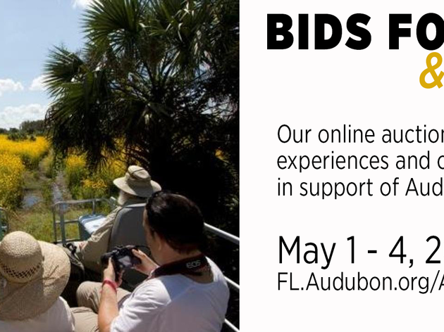 Bids for Birds and Beyond
