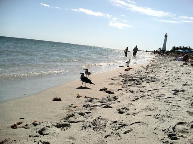 Florida's Special Places: Bill Baggs Cape Florida State Park