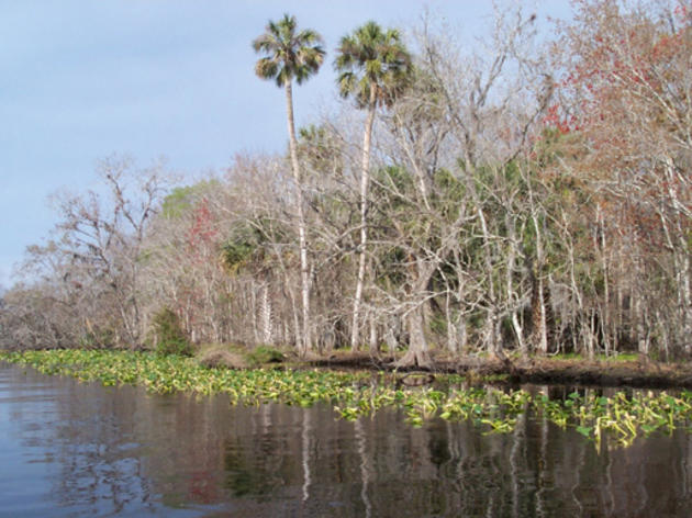 Orlando Sentinel: The Great Florida Public Land Giveaway