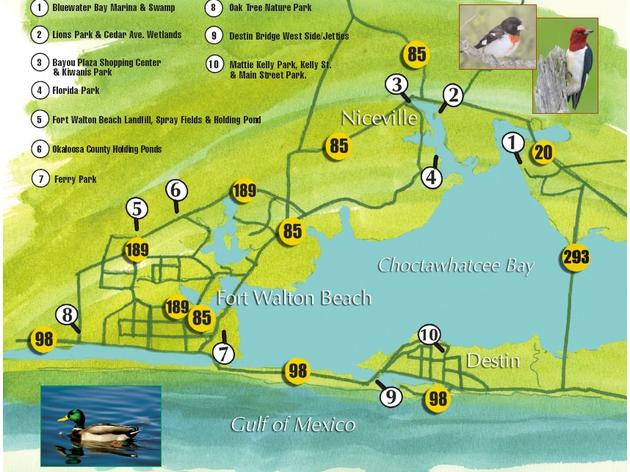 Going Birding in the Panhandle? Let Choctawhatchee Audubon show you around