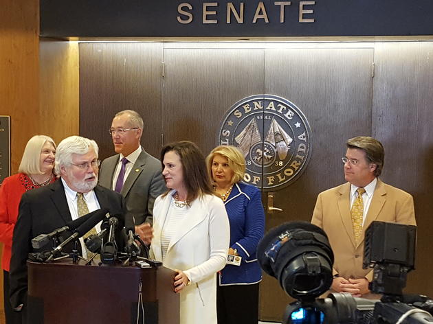 Sen. Dana Young Announces Legislation to Ban Fracking in Florida