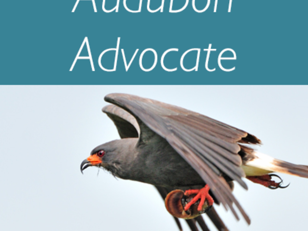 Audubon Advocate: 2017 Legislative Session - Week 3 Update