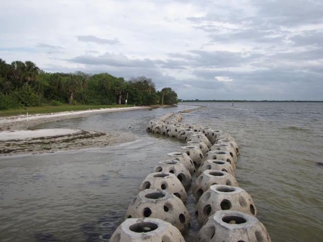 Oyster Reef Breakwater Lengthened to Protect Major Tampa Bay Nesting Rookery