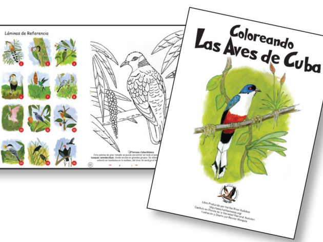 Cuba's Children Inspire Audubon Chapter