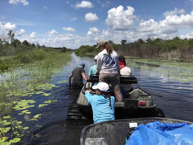 Audubon’s Western Everglades Research Center Guides Restoration