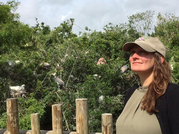 Letter from Audubon's Julie Hill-Gabriel on the State of the Everglades (Winter 2017)
