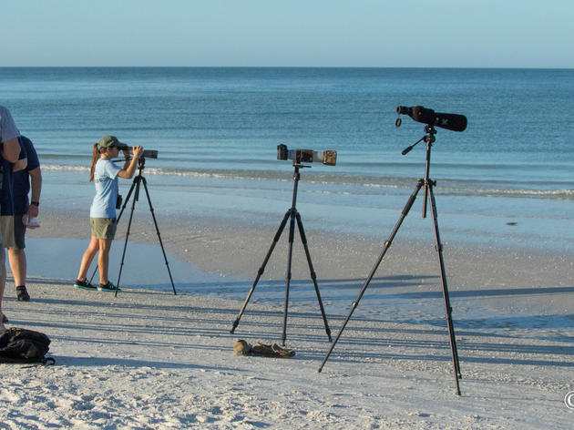 Paying It Forward on Florida's Beaches