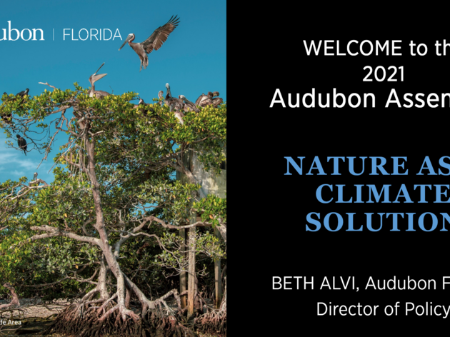 Audubon Florida 2021 Assembly Recordings