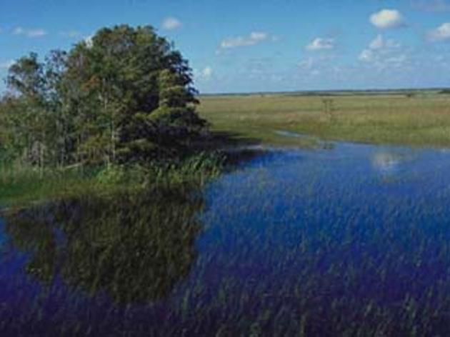 Budget 2011: The Everglades and Florida Forever