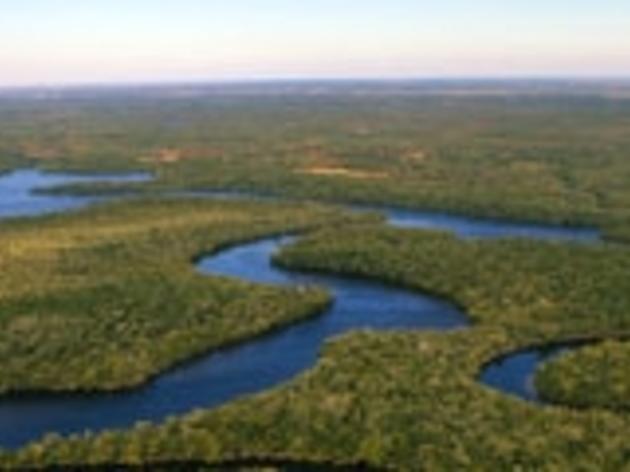 Audubon Florida Responds to the Filing of Congressional Legislation to Acquire Land South of Lake Okeechobee