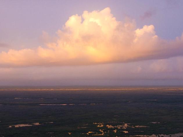 Four big victories for America's Everglades