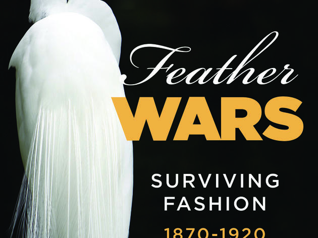 Feather Wars: Surviving Fashion 1870-1920 at the Palm Beach County History Museum