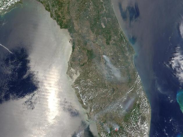 www.climateflorida.org