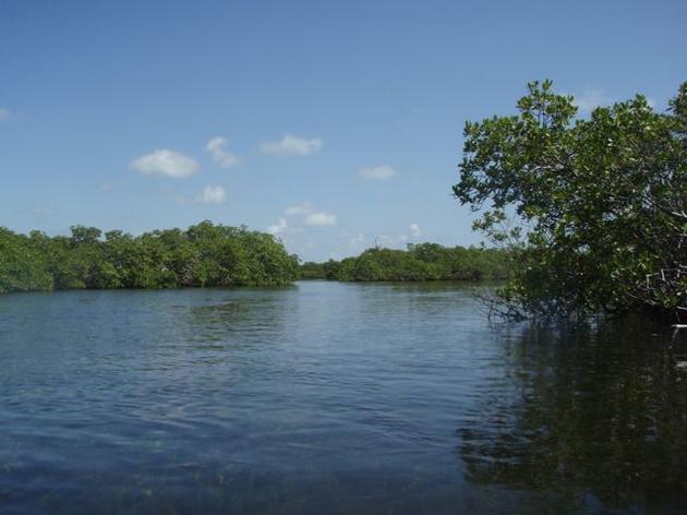 Governor Charlie Crist's Eloquent Endorsement of Everglades Restoration.