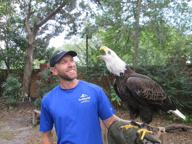 SeaWorld San Diego’s Todd Glazebrook Immerses Himself at Audubon Center for Birds of Prey