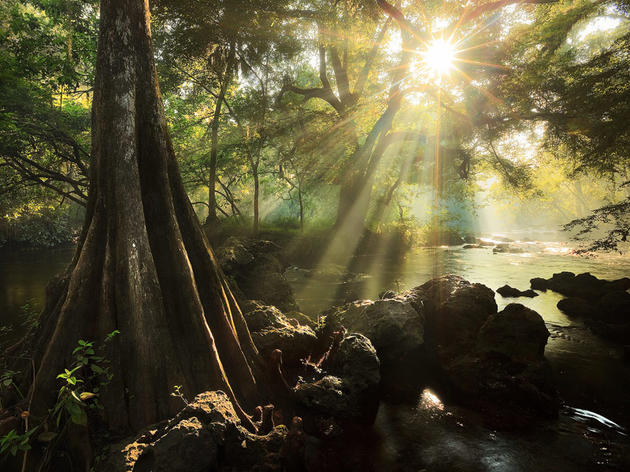 Florida Current: HB 1103 - Ordinary High Water Mark, "Likely Dead"