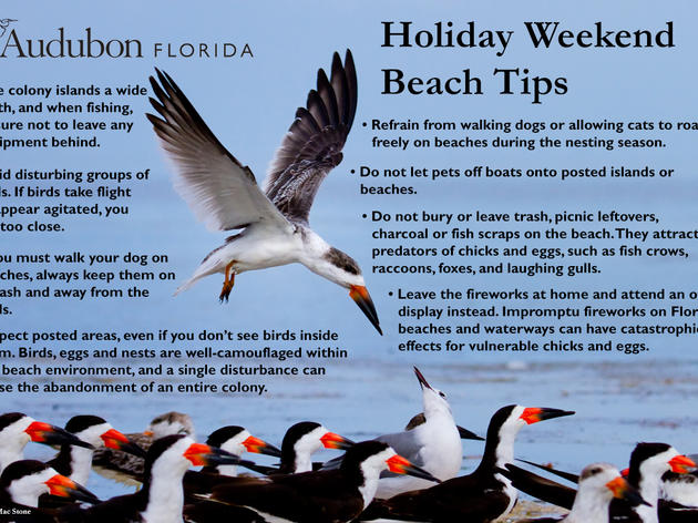 Important Beach Tips for Memorial Day 2013