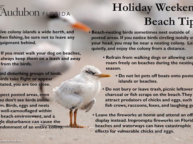 Beach Tips for Memorial Day 2014