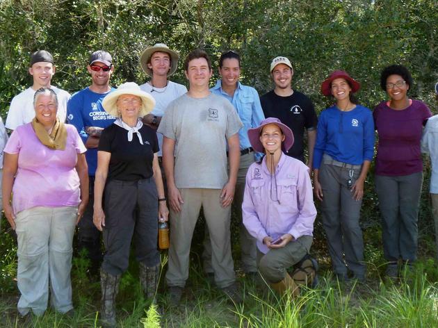 Scientists Report that Relocating Scrub-Jays Shows Promise and New Hope for Species