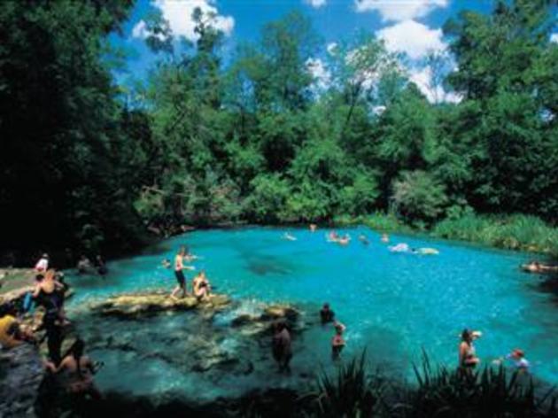 The Top 25 Most-Visited Florida State Parks in 2010 Are...