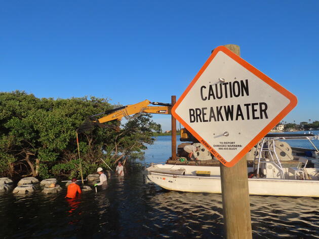 Audubon Florida Installs New Living Shoreline to Protect Important Nesting Habitat