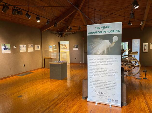 Audubon Florida and Tallahassee Museum Team Up for New Exhibit Highlighting 125 Years of Conservation in the Sunshine State