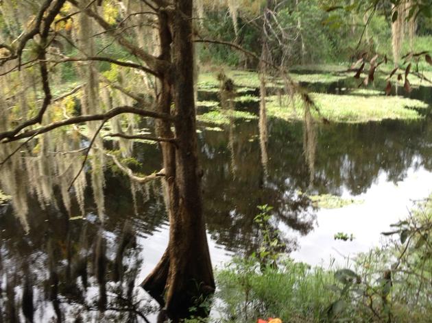 The Istokpoga Canal: Kissimmee River Restoration in Progress