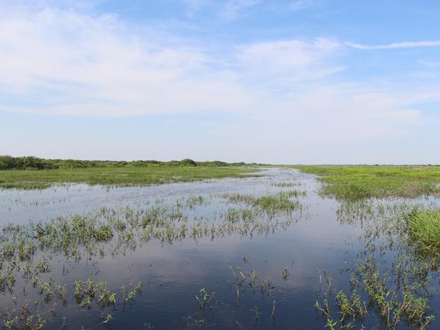 A Restored Kissimmee River in Sight