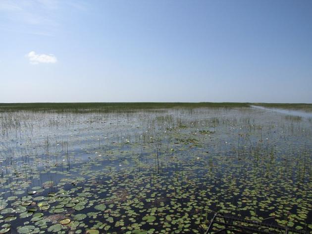 Lake Okeechobee Protection Plan Up for Review