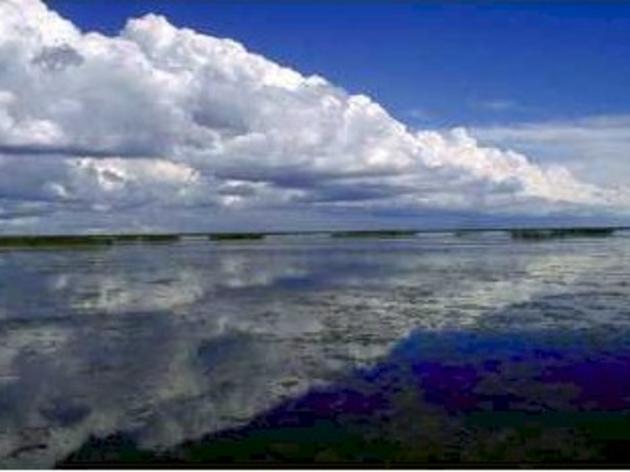 A Bold Step Towards Improving the Health of Lake Okeechobee