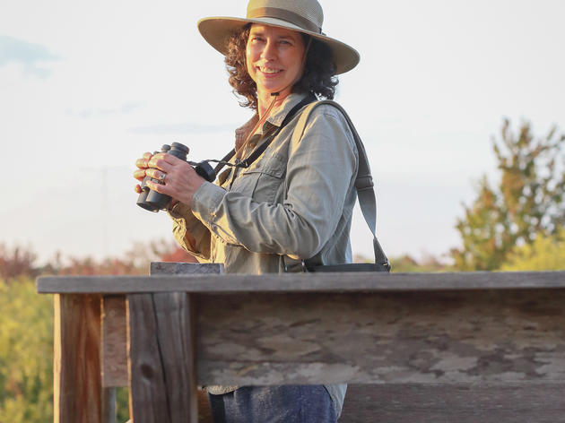 Meet Lisa Korte, Ph.D., Sanctuary Director, Corkscrew Swamp Sanctuary