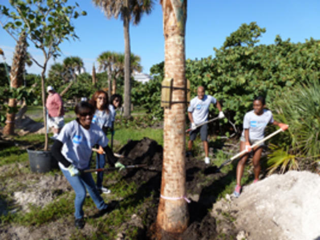 American Express Employees “Make a Difference” at John U. Lloyd Beach State Park  