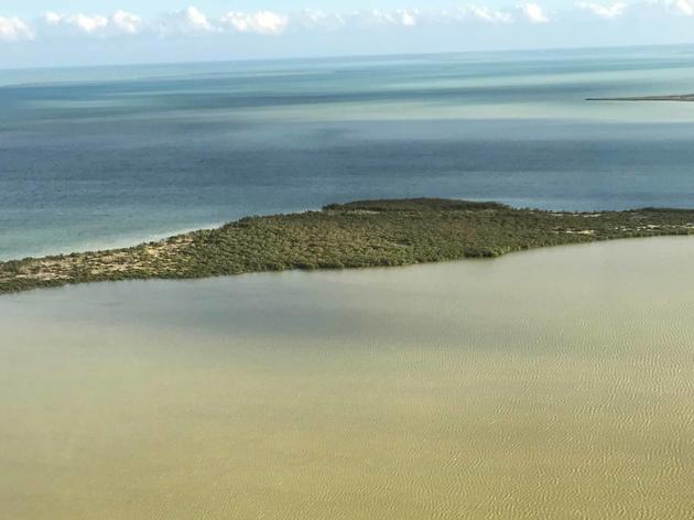 More Freshwater (Not Less) Needed to Curb Algal Blooms in Florida Bay