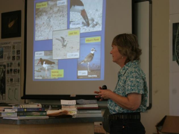 Audubon Educates Teachers and Students About Beach-Nesting Birds