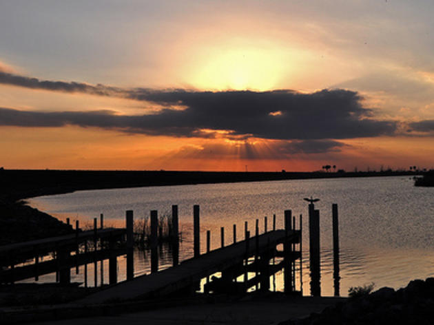 Audubon’s Lake Okeechobee Protection Plan Advocacy Headlined in the Media  