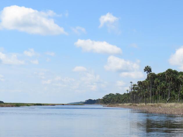 Research Leads the Way to Cleaner Water in the Guana River