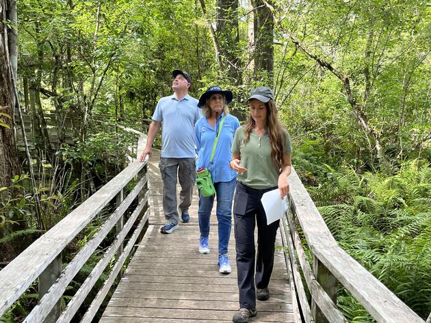 Audubon Leads Big Cypress Basin Tour 