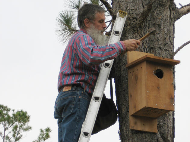 Remembering Bob Simons of Alachua Audubon Society
