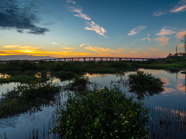 The Importance of Protecting Florida Forever