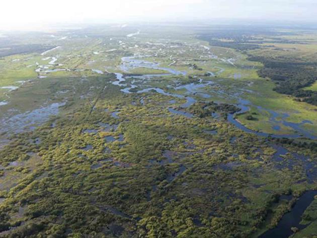 Kissimmee River Restoration Project 90 Percent Built and Already a Model for Restoration