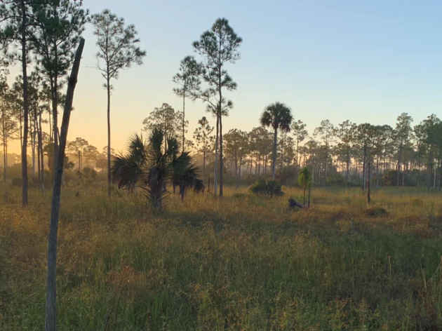 Audubon Uses its Science to Inform Southwest Florida Everglades Restoration and Regional Water Policy