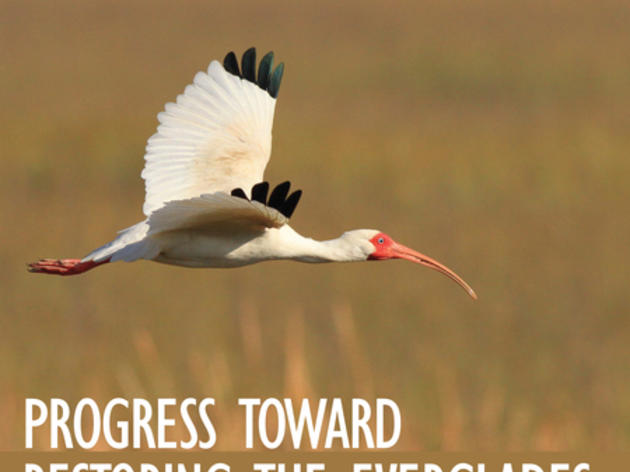 National Research Council Releases 2014 “Progress Toward Restoring the Everglades”
