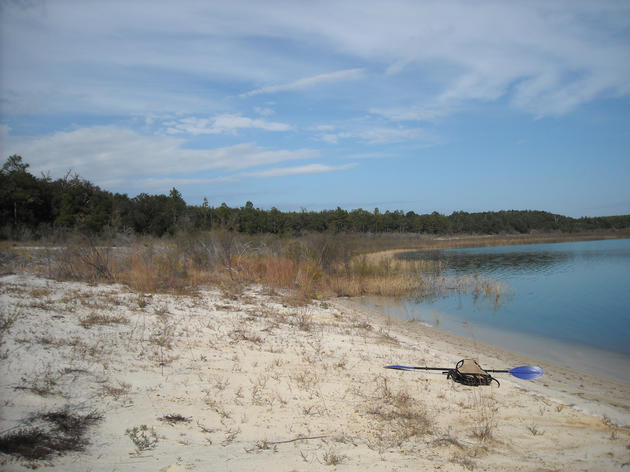 Florida's Special Places: The Sandhill Lakes Region of the Panhandle