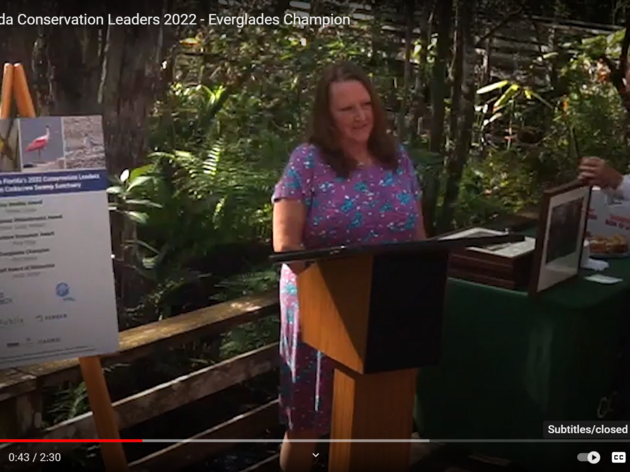 Audubon Florida Names Kim Dryden 2022 Everglades Champion 