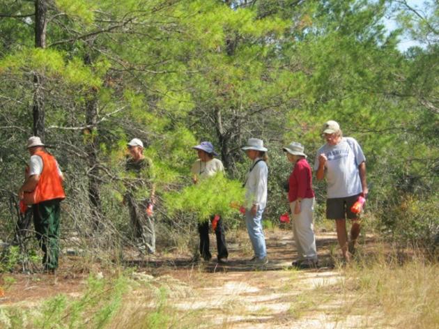 Florida's Special Places: Etoniah Creek State Forest