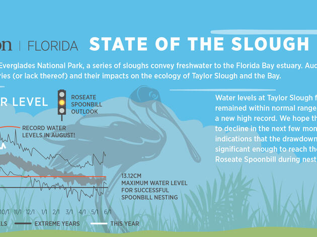 Everglades Science Center Sheds Light on Water, Fish, and Spoonbill Fluctuations
